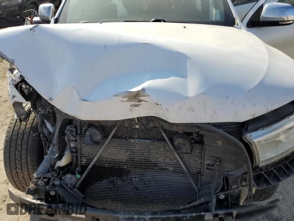 ✅ 2016 Dodge Durango Citadel • VIN: 1C4SDJET2GC413102 • Lot: 84803545. Wystawiony na Copart z przebiegiem Nie podano. Bezpłatny archiwum sprzedaży aukcyjnych z USA i szczegółowy raport historii pojazdu na DreamBid. Zdjęcie 12.