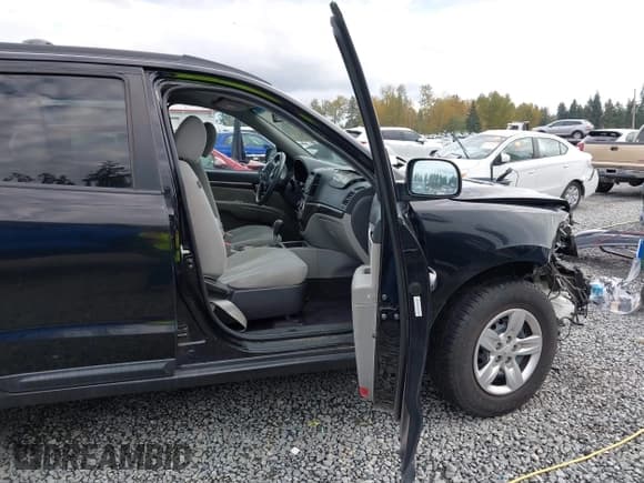 ✅ 2009 Hyundai Santa Fe GLS • VIN: 5NMSG73D59H261682 • Лот: 43492508. Опубликован ранее на IAAI с пробегом 158 102 миль. Бесплатный доступ к архиву аукционных продаж из США и подробный отчёт об истории автомобиля на DreamBid. Изображение 5.