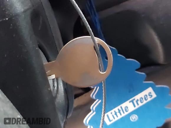 ✅ 2002 Dodge 1500 • VIN: 3D7HU18NX2G115996 • Lot: 43216286. Listed on IAAI with 641,728 mi. Free auction sales archive from the USA and detailed vehicle history report at DreamBid. Image 11.