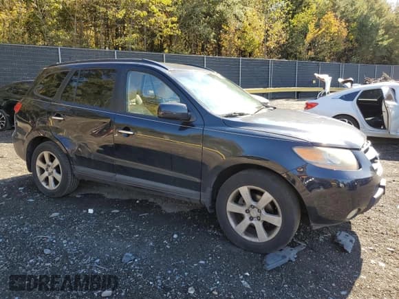 ✅ 2008 Hyundai Santa Fe SE • VIN: 5NMSH13E08H162463 • Lot: 87058995. Listed on Copart with 227,180 mi. Free auction sales archive from the USA and detailed vehicle history report at DreamBid. Image 4.