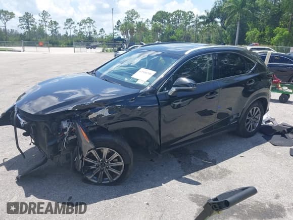 ✅ 2018 Lexus NX 300h • VIN: JTJBJRBZ0J2094597 • Lot: 42508280. Listed on IAAI with 77,302 mi. Free auction sales archive from the USA and detailed vehicle history report at DreamBid. Image 17.