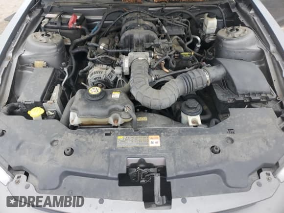 ✅ 2010 Ford Mustang V6 • VIN: 1ZVBP8AN9A5112276 • Lot: 81566355. Listed on Copart with 69,951 mi. Free auction sales archive from the USA and detailed vehicle history report at DreamBid. Image 11.
