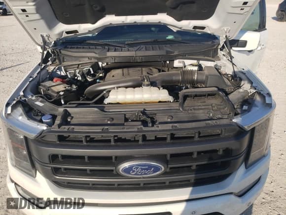 ✅ 2023 Ford F-150 Platinum • VIN: 1FTFW1E81PFC23622 • Лот: 64068825. Опубликован ранее на Copart с пробегом 20 935 миль. Бесплатный доступ к архиву аукционных продаж из США и подробный отчёт об истории автомобиля на DreamBid. Изображение 12.