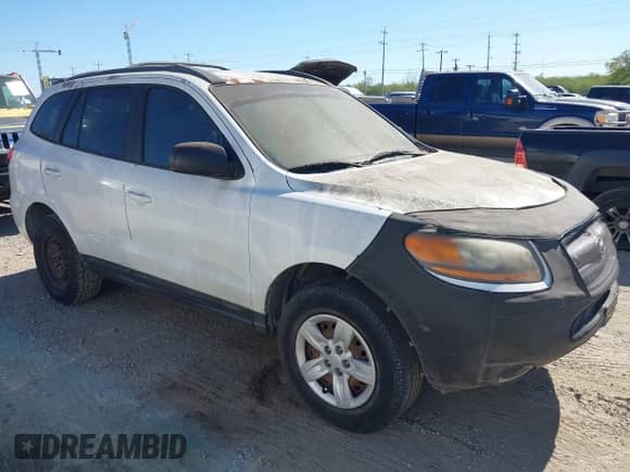 2009 Hyundai Santa Fe GLS with VIN 5NMSG13D49H324266, listed as a IAAI auction lot 43594483 with 125,396 mi miles and . Bid and sale history available at DreamBid. Image 1.