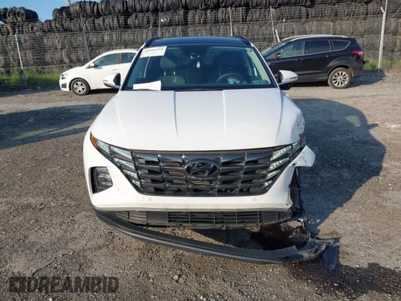 ✅ 2023 Hyundai Tucson Limited • VIN: KM8JFDA28PU105491 • Lot: 42844210. Wystawiony na IAAI z przebiegiem 13 821 mil. Bezpłatny archiwum sprzedaży aukcyjnych z USA i szczegółowy raport historii pojazdu na DreamBid. Zdjęcie 12.