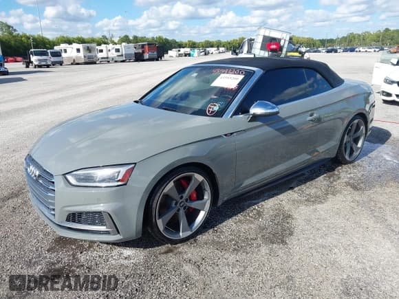 ✅ 2019 Audi S5 Premium Plus • VIN: WAUY4GF53KN007546 • Lot: 43593200. Listed on IAAI with Not provided. Free auction sales archive from the USA and detailed vehicle history report at DreamBid. Image 2.