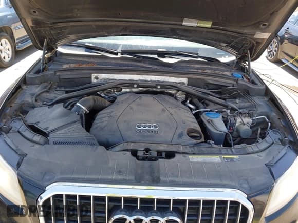 ✅ 2014 Audi Q5 Premium Plus • VIN: WA1CMAFP9EA057613 • Lot: 43075574. Listed on IAAI with 208,430 mi. Free auction sales archive from the USA and detailed vehicle history report at DreamBid. Image 10.