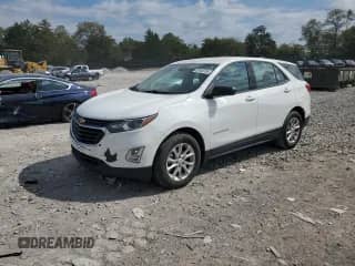 ✅ 2019 Chevrolet Equinox LS • VIN: 2GNAXHEVXK6175943 • Lot: 85830765. Listed on Copart with 133,551 mi. Free auction sales archive from the USA and detailed vehicle history report at DreamBid. Image 1.