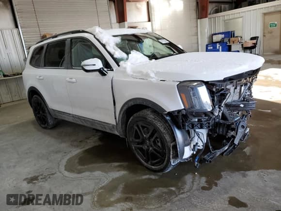 ✅ 2024 Kia Telluride SX Prestige X-Line • VIN: 5XYP5DGC3RG483384 • Lot: 41913045. Listed on Copart with 13,462 mi. Free auction sales archive from the USA and detailed vehicle history report at DreamBid. Image 4.