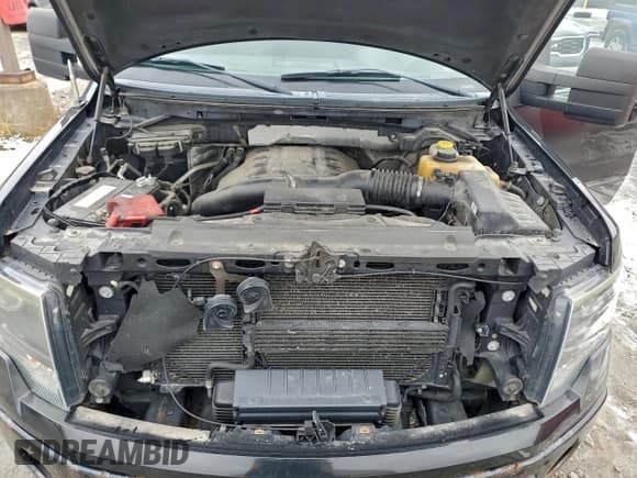 ✅ 2014 Ford F-150 Platinum • VIN: 1FTFW1ET9EFA82767 • Lot: 94850145. Wystawiony na Copart z przebiegiem 216 841 mil. Bezpłatny archiwum sprzedaży aukcyjnych z USA i szczegółowy raport historii pojazdu na DreamBid. Zdjęcie 11.