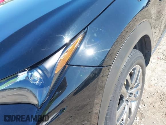 ✅ 2016 Lexus NX 300h • VIN: JTJYWRBZ1G2009917 • Lot: 42553858. Listed on IAAI with 138,106 mi. Free auction sales archive from the USA and detailed vehicle history report at DreamBid. Image 12.