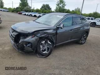 2023 Hyundai Tucson Luxury с VIN KM8JCCA12PU116710, выставлен на аукционе Copart как лот 67736765 с пробегом Не указан миль и Списание • Salvage title. История ставок и продаж доступна на DreamBid. Изображение 1.