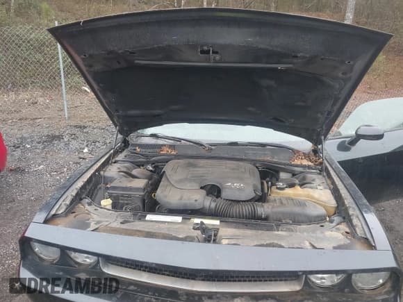 ✅ 2011 Dodge Challenger • VIN: 2B3CJ4DG6BH509941 • Lot: 41555200. Wystawiony na IAAI z przebiegiem 158 462 mil. Bezpłatny archiwum sprzedaży aukcyjnych z USA i szczegółowy raport historii pojazdu na DreamBid. Zdjęcie 10.