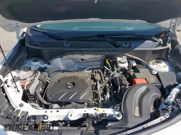 ✅ 2024 Buick Encore GX Avenir • VIN: KL4AMFSL9RB017071 • Lot: 52003565. Wystawiony na Copart z przebiegiem 8 013 mil. Bezpłatny archiwum sprzedaży aukcyjnych z USA i szczegółowy raport historii pojazdu na DreamBid. Zdjęcie 12.