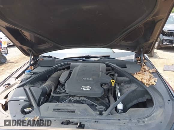 ✅ 2016 Hyundai Genesis 3.8L • VIN: KMHGN4JE1GU140624 • Lot: 42382865. Wystawiony na IAAI z przebiegiem 132 087 mil. Bezpłatny archiwum sprzedaży aukcyjnych z USA i szczegółowy raport historii pojazdu na DreamBid. Zdjęcie 10.