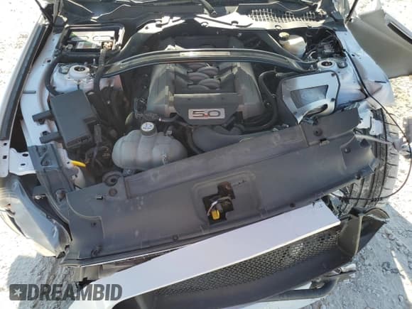 ✅ 2015 Ford Mustang GT Premium • VIN: 1FA6P8CF2F5381503 • Lot: 87036925. Wystawiony na Copart z przebiegiem 60 401 mil. Bezpłatny archiwum sprzedaży aukcyjnych z USA i szczegółowy raport historii pojazdu na DreamBid. Zdjęcie 11.