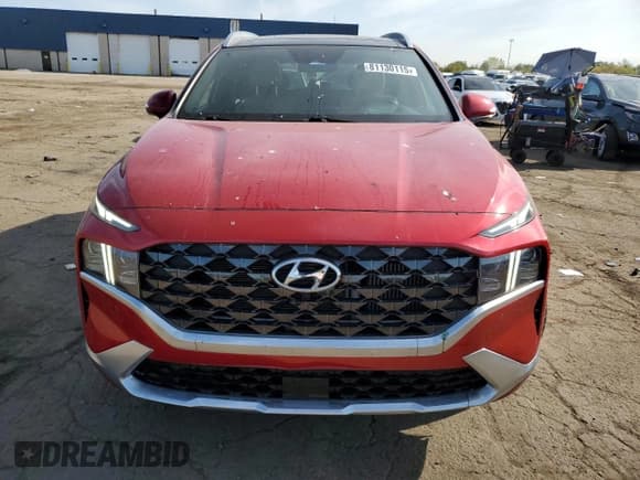 ✅ 2022 Hyundai Santa Fe Calligraphy • VIN: 5NMS5DAL3NH404217 • Lot: 81130115. Listed on Copart with 39,434 mi. Free auction sales archive from the USA and detailed vehicle history report at DreamBid. Image 5.