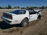 ✅ 1988 Pontiac Firebird • VIN: 1G2FS21S4JL245615 • Lot: 73486314. Wystawiony na Copart z przebiegiem 144 774 mil. Bezpłatny archiwum sprzedaży aukcyjnych z USA i szczegółowy raport historii pojazdu na DreamBid. Zdjęcie 3.