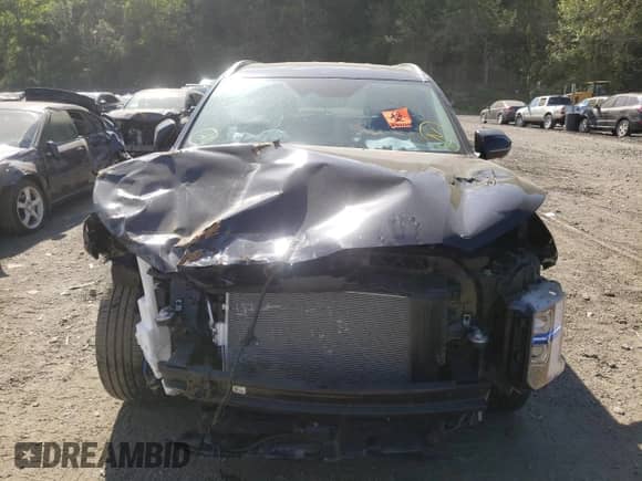 ✅ 2023 Hyundai Palisade Limited • VIN: KM8R5DGE1PU495809 • Лот: 51137053. Размещён на Copart с пробегом Не указан миль. Получите бесплатный доступ к архиву аукционных продаж из США и посмотрите подробный отчёт об истории автомобиля на DreamBid. Изображение 5.