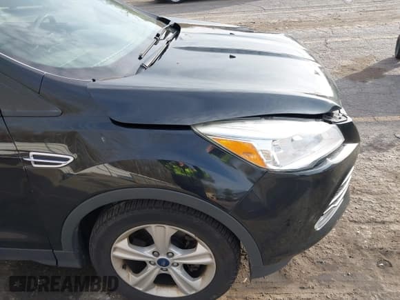 ✅ 2014 Ford Escape SE • VIN: 1FMCU9GX2EUA86352 • Lot: 43644711. Wystawiony na IAAI z przebiegiem 137 143 mil. Bezpłatny archiwum sprzedaży aukcyjnych z USA i szczegółowy raport historii pojazdu na DreamBid. Zdjęcie 18.