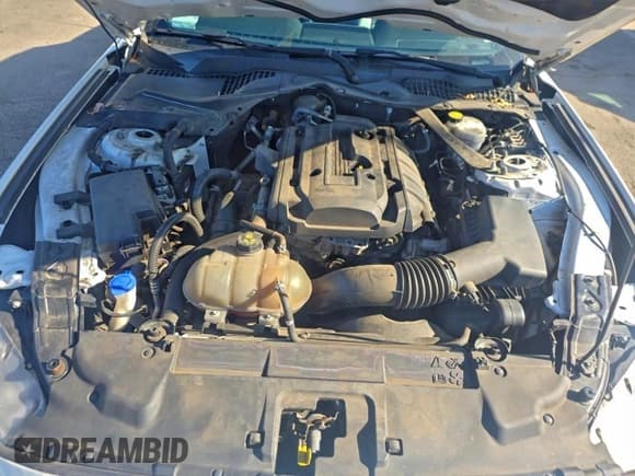 ✅ 2020 Ford Mustang EcoBoost Premium • VIN: 1FATP8UH4L5113244 • Лот: 96412275. Опубликован ранее на Copart с пробегом 70 520 миль. Бесплатный доступ к архиву аукционных продаж из США и подробный отчёт об истории автомобиля на DreamBid. Изображение 7.