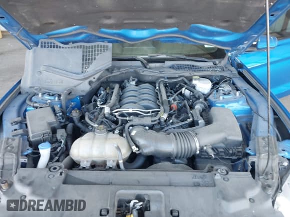 ✅ 2021 Ford Mustang GT • VIN: 1FA6P8CFXM5101257 • Lot: 42207879. Listed on IAAI with 37,036 mi. Free auction sales archive from the USA and detailed vehicle history report at DreamBid. Image 10.