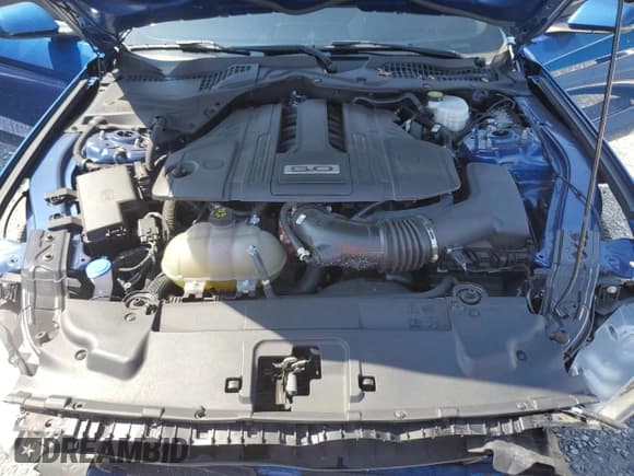 ✅ 2022 Ford Mustang GT • VIN: 1FA6P8CFXN5143025 • Lot: 66652425. Listed on Copart with 15,615 mi. Free auction sales archive from the USA and detailed vehicle history report at DreamBid. Image 11.