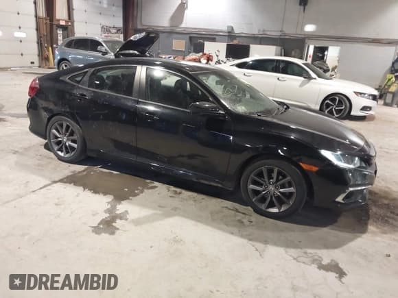 ✅ 2020 Honda Civic EX • VIN: 19XFC1F35LE203955 • Lot: 41215735. Wystawiony na IAAI z przebiegiem 44 102 mil. Bezpłatny archiwum sprzedaży aukcyjnych z USA i szczegółowy raport historii pojazdu na DreamBid. Zdjęcie 1.