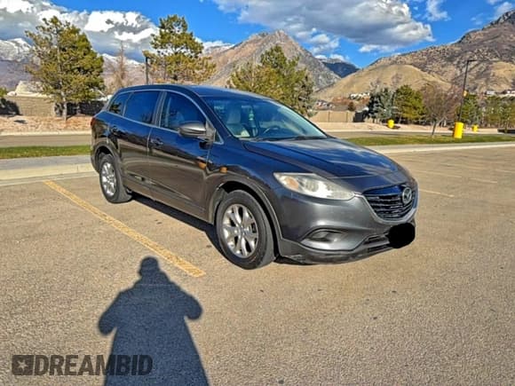 ✅ 2014 Mazda CX-9 Touring • VIN: JM3TB2CVXE0445824 • Лот: 95101495. Опубликован ранее на Copart с пробегом 150 853 миль. Бесплатный доступ к архиву аукционных продаж из США и подробный отчёт об истории автомобиля на DreamBid. Изображение 1.
