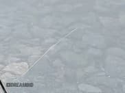 ✅ 2007 Nissan Sentra S • VIN: 3N1AB61E47L717934 • Лот: 42387776. Опубликован ранее на IAAI с пробегом 184 855 миль. Бесплатный доступ к архиву аукционных продаж из США и подробный отчёт об истории автомобиля на DreamBid. Изображение 14.