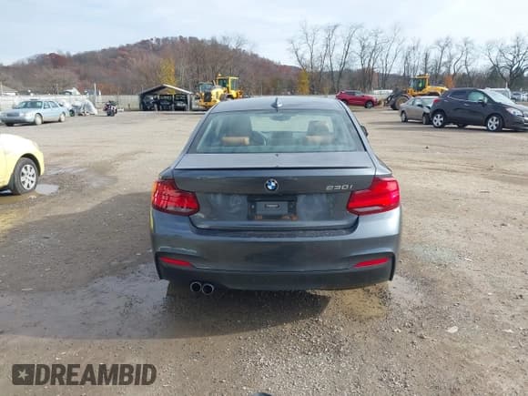✅ 2020 BMW 2 Series 230i • VIN: WBA2J1C05L7E46857 • Lot: 43782255. Listed on IAAI with 57,840 mi. Free auction sales archive from the USA and detailed vehicle history report at DreamBid. Image 16.