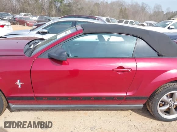 ✅ 2006 Ford Mustang Standard • VIN: 1ZVFT84N765152002 • Lot: 41806483. Listed on IAAI with 154,497 mi. Free auction sales archive from the USA and detailed vehicle history report at DreamBid. Image 14.