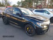 ✅ 2019 Alfa Romeo Stelvio Quadrifoglio • VIN: ZASPAKEV5K7C31814 • Lot: 43696929. Listed on IAAI with 66,316 mi. Free auction sales archive from the USA and detailed vehicle history report at DreamBid. Image 1.