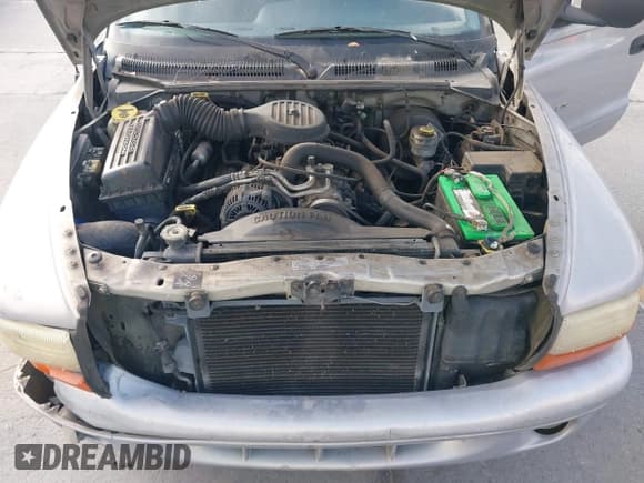 ✅ 1999 Dodge Durango • VIN: 1B4HR28Y3XF550568 • Lot: 43056221. Wystawiony na IAAI z przebiegiem 239 564 mil. Bezpłatny archiwum sprzedaży aukcyjnych z USA i szczegółowy raport historii pojazdu na DreamBid. Zdjęcie 10.