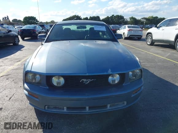 ✅ 2006 Ford Mustang GT Deluxe • VIN: 1ZVFT82H365136022 • Lot: 43614937. Wystawiony na IAAI z przebiegiem 69 894 mil. Bezpłatny archiwum sprzedaży aukcyjnych z USA i szczegółowy raport historii pojazdu na DreamBid. Zdjęcie 12.