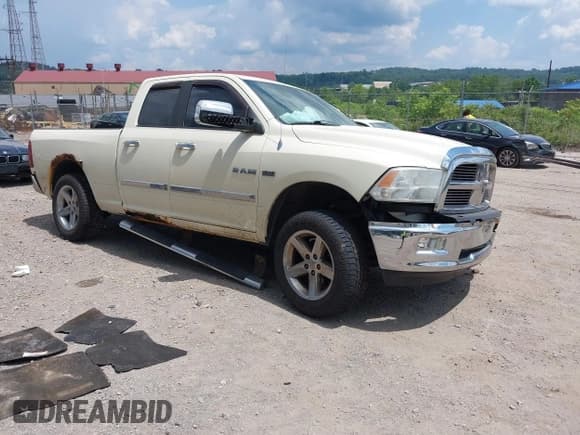 ✅ 2010 Dodge 1500 ST • VIN: 1D7RV1GT7AS234176 • Lot: 42589799. Wystawiony na IAAI z przebiegiem 118 000 mil. Bezpłatny archiwum sprzedaży aukcyjnych z USA i szczegółowy raport historii pojazdu na DreamBid. Zdjęcie 1.
