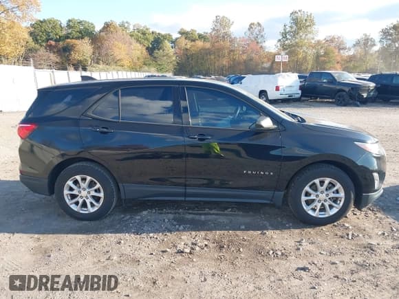 ✅ 2018 Chevrolet Equinox LS • VIN: 3GNAXHEV9JL328046 • Лот: 43522204. Опубликован ранее на IAAI с пробегом 35 019 миль. Бесплатный доступ к архиву аукционных продаж из США и подробный отчёт об истории автомобиля на DreamBid. Изображение 13.