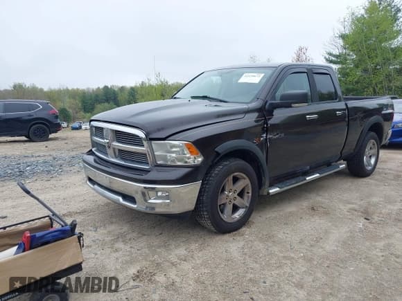 ✅ 2010 Dodge 1500 TRX • VIN: 1D7RV1GT9AS260794 • Lot: 42129672. Wystawiony na IAAI z przebiegiem 197 338 mil. Bezpłatny archiwum sprzedaży aukcyjnych z USA i szczegółowy raport historii pojazdu na DreamBid. Zdjęcie 17.