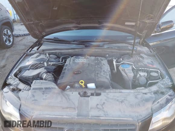 ✅ 2012 Audi A4 Premium • VIN: WAUBFAFL0CA117331 • Lot: 43816552. Listed on IAAI with 95,430 mi. Free auction sales archive from the USA and detailed vehicle history report at DreamBid. Image 10.