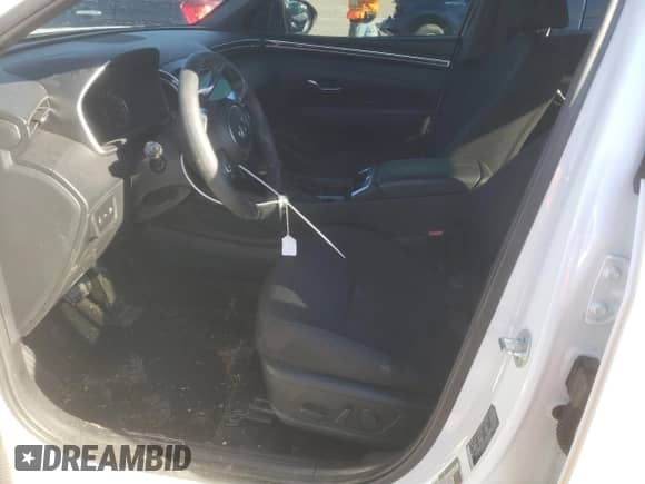 2022 Hyundai Santa Cruz SEL с VIN 5NTJB4AE9NH028682, выставлен на аукционе Copart как лот 84698994 с пробегом 41 817 миль миль и Списание • Salvage title. История ставок и продаж доступна на DreamBid. Изображение 7.