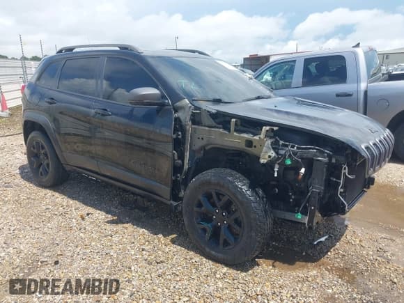 ✅ 2016 Jeep Cherokee Trailhawk • VIN: 1C4PJMBS4GW243691 • Lot: 42916939. Wystawiony na IAAI z przebiegiem 137 473 mil. Bezpłatny archiwum sprzedaży aukcyjnych z USA i szczegółowy raport historii pojazdu na DreamBid. Zdjęcie 1.