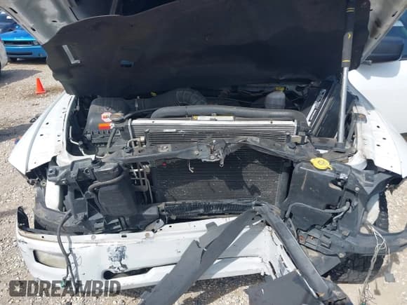 ✅ 2010 Dodge 1500 Sport • VIN: 1D7RV1CT3AS218417 • Lot: 42545366. Wystawiony na IAAI z przebiegiem 169 084 mil. Bezpłatny archiwum sprzedaży aukcyjnych z USA i szczegółowy raport historii pojazdu na DreamBid. Zdjęcie 10.