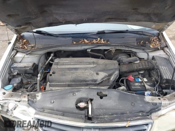 ✅ 2004 Honda Odyssey EX-L • VIN: 5FNRL18764B036904 • Lot: 42212028. Wystawiony na IAAI z przebiegiem 146 875 mil. Bezpłatny archiwum sprzedaży aukcyjnych z USA i szczegółowy raport historii pojazdu na DreamBid. Zdjęcie 10.