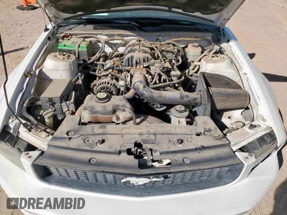 ✅ 2007 Ford Mustang Deluxe • VIN: 1ZVFT80N875288095 • Lot: 84260275. Listed on Copart with 93,204 mi. Free auction sales archive from the USA and detailed vehicle history report at DreamBid. Image 11.