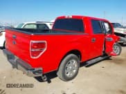 ✅ 2013 Ford F-150 XLT • VIN: 1FTFW1CF4DKF19352 • Лот: 43449449. Опубликован ранее на IAAI с пробегом Не указан. Бесплатный доступ к архиву аукционных продаж из США и подробный отчёт об истории автомобиля на DreamBid. Изображение 4.