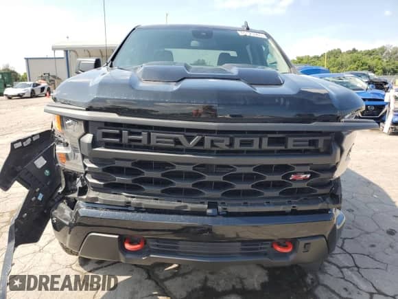 2025 Chevrolet Silverado 1500 Custom Trail Boss with VIN 3GCUKCE85SG151104, listed as a Copart auction lot 66125365 with 21,602 mi miles and Salvage title. Bid and sale history available at DreamBid. Image 5.