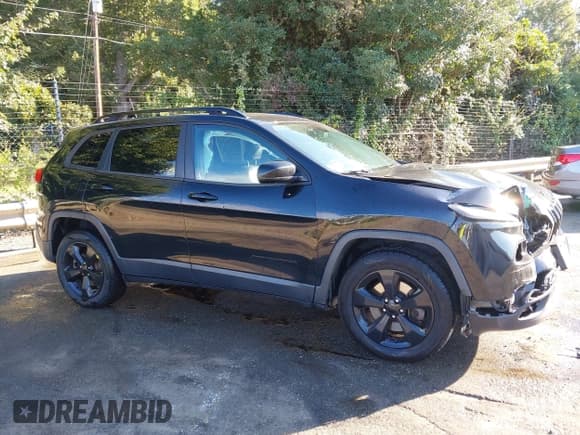 ✅ 2018 Jeep Cherokee Limited • VIN: 1C4PJMDB3JD608636 • Лот: 43223797. Опубликован ранее на IAAI с пробегом 124 052 миль. Бесплатный доступ к архиву аукционных продаж из США и подробный отчёт об истории автомобиля на DreamBid. Изображение 13.