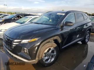 ✅ 2023 Hyundai Tucson SEL • VIN: 5NMJBCAE6PH238990 • Lot: 73720884. Wystawiony na Copart z przebiegiem 17 246 mil. Bezpłatny archiwum sprzedaży aukcyjnych z USA i szczegółowy raport historii pojazdu na DreamBid. Zdjęcie 1.