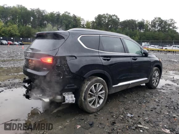 ✅ 2020 Hyundai Santa Fe SEL • VIN: 5NMS3CAD7LH160030 • Lot: 66655343. Wystawiony na Copart z przebiegiem 46 173 mil. Bezpłatny archiwum sprzedaży aukcyjnych z USA i szczegółowy raport historii pojazdu na DreamBid. Zdjęcie 3.