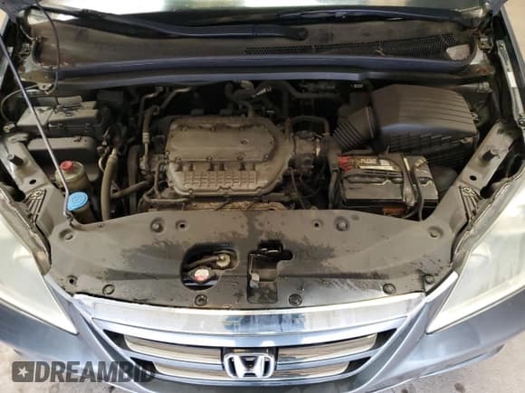 ✅ 2006 Honda Odyssey EX • VIN: 5FNRL38426B455322 • Lot: 86608495. Listed on Copart with 135,114 mi. Free auction sales archive from the USA and detailed vehicle history report at DreamBid. Image 12.